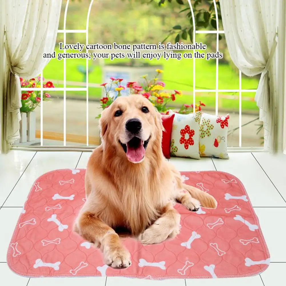 Washable Dog Pee Pad — Absorbent & Leak-Proof Training Mat