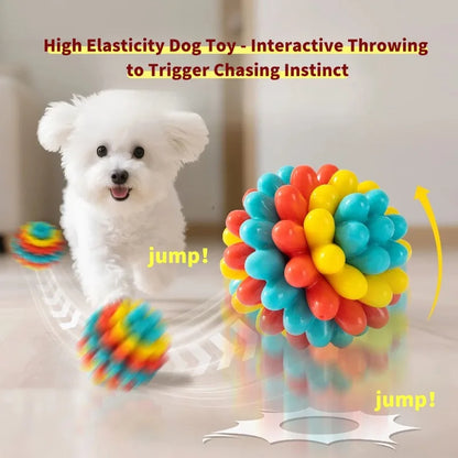 Indestructible TPR Dog Chew Toy — Soft Training Ball
