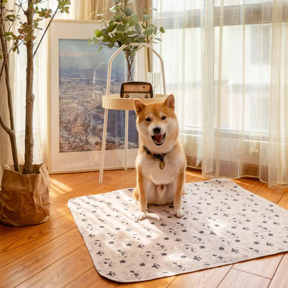 Washable Dog Pee Pad — Absorbent & Leak-Proof Training Mat