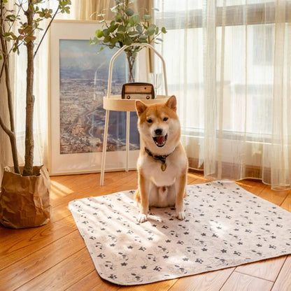 Washable Dog Pee Pad — Absorbent & Leak-Proof Training Mat