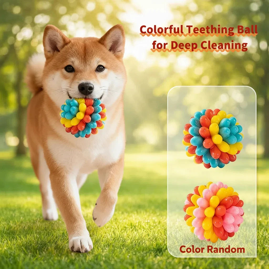 Indestructible TPR Dog Chew Toy — Soft Training Ball