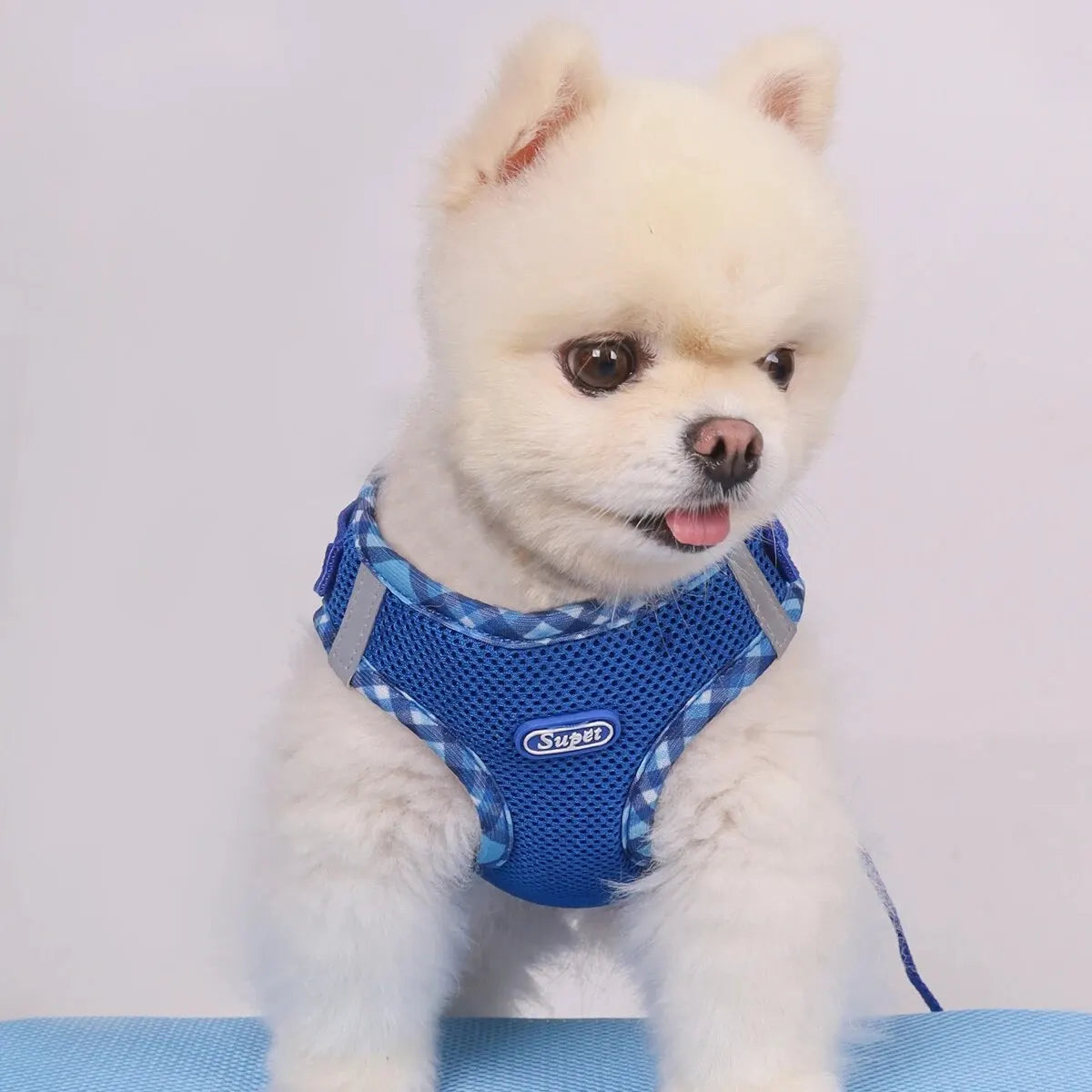 Supet Anti-Pull Dog Harness — Adjustable for Small & Medium Dogs