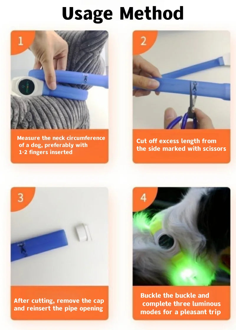 LED Luminous Dog Collar — USB Rechargeable & Waterproof