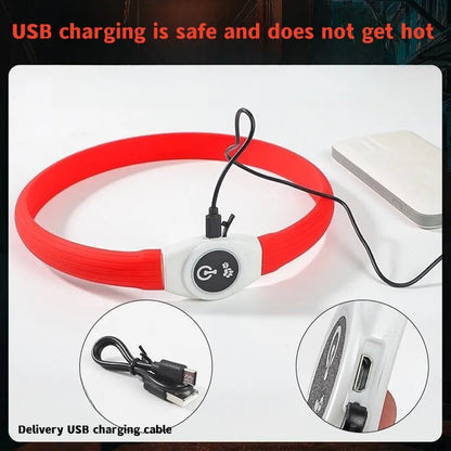 LED Luminous Dog Collar — USB Rechargeable & Waterproof