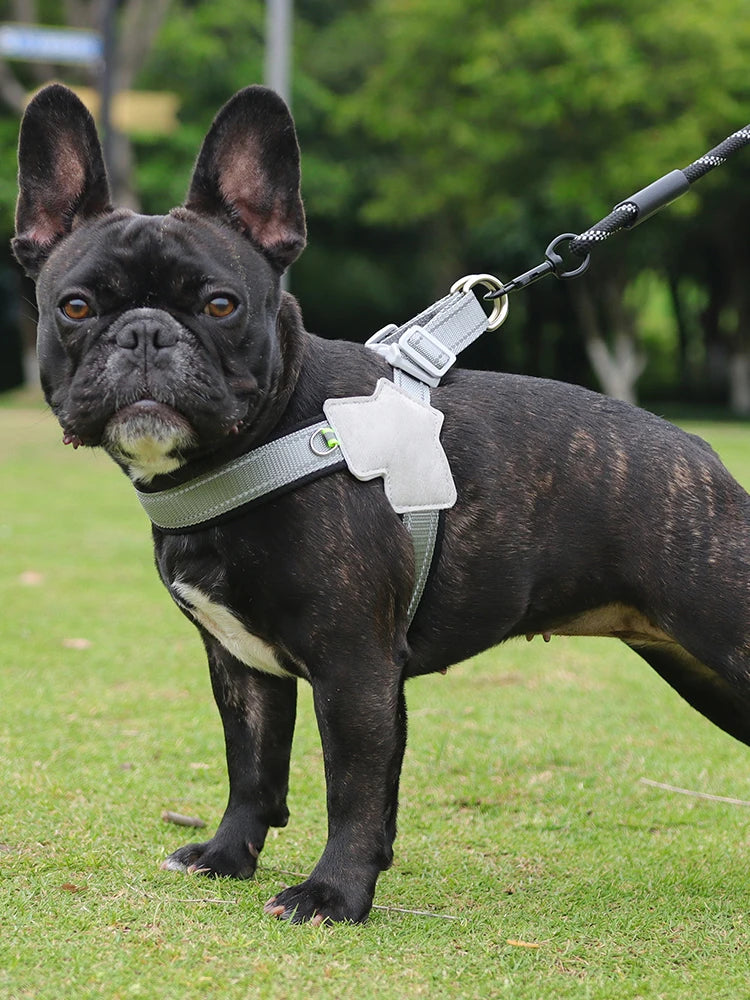 No-Pull Breathable Mesh Dog Harness — Reflective & Adjustable