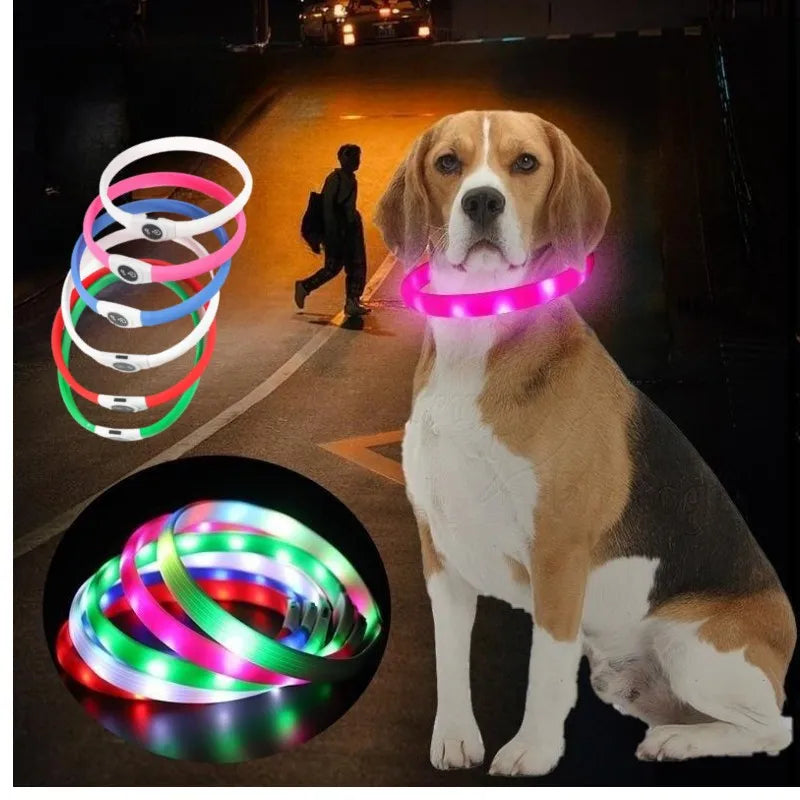 LED Luminous Dog Collar — USB Rechargeable & Waterproof