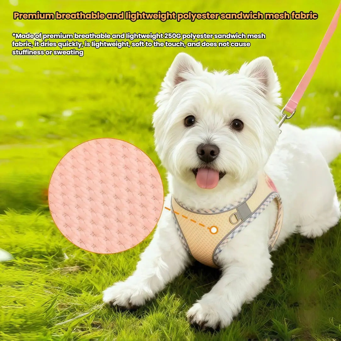 Reflective Dog Harness & Leash Set – Breathable Mesh Vest for Small & Medium Dogs