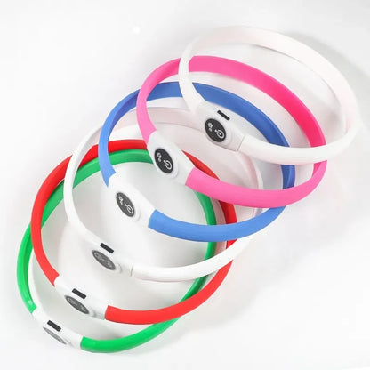 LED Luminous Dog Collar — USB Rechargeable & Waterproof