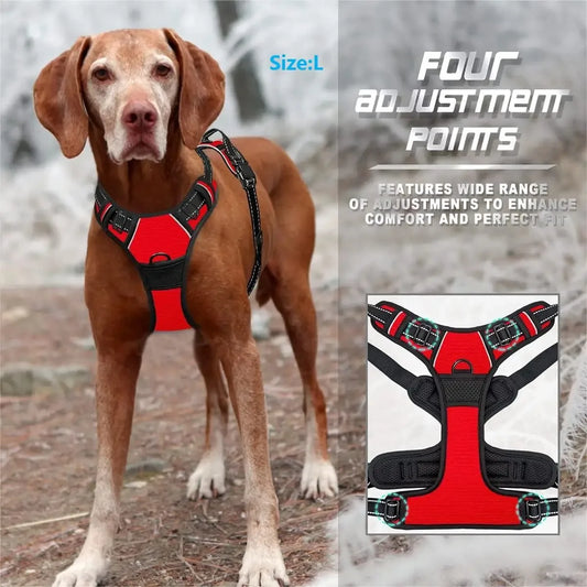 ComfortFit Harness Set — Walk Farther, Pull Less