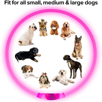 LED USB Rechargeable Dog Collar — Night Safety Glow