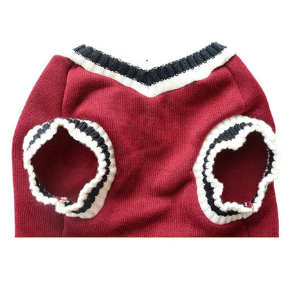 Cozy Knit Pet Sweater