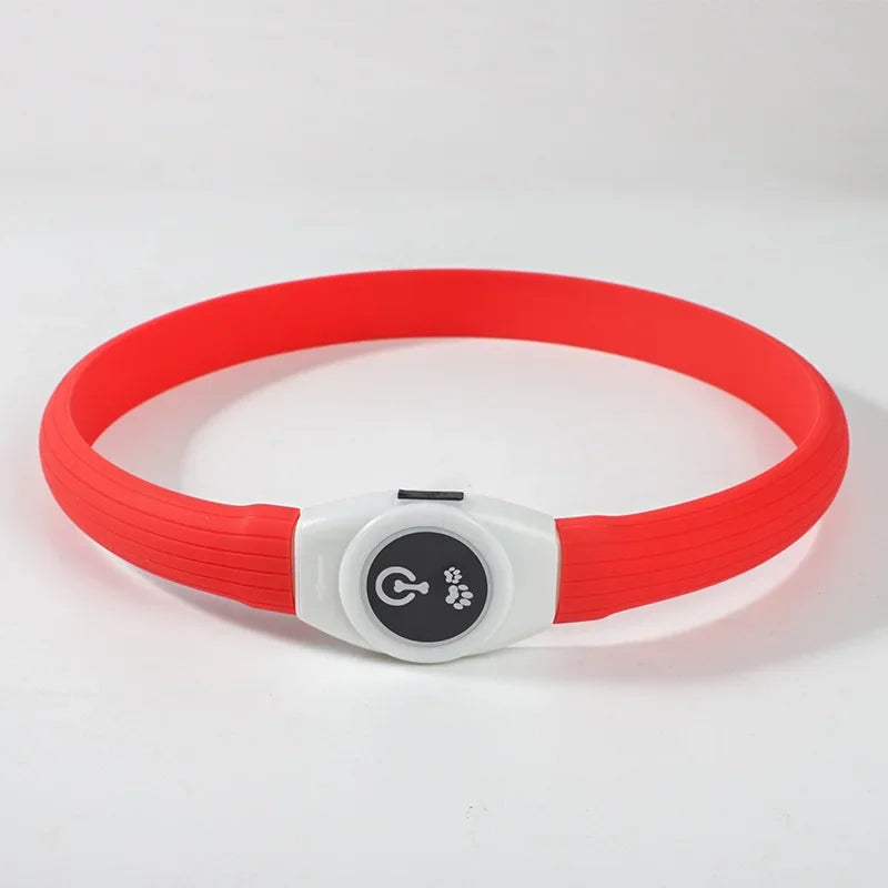 LED Luminous Dog Collar — USB Rechargeable & Waterproof