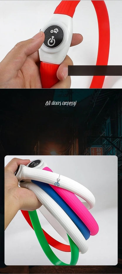 LED Luminous Dog Collar — USB Rechargeable & Waterproof