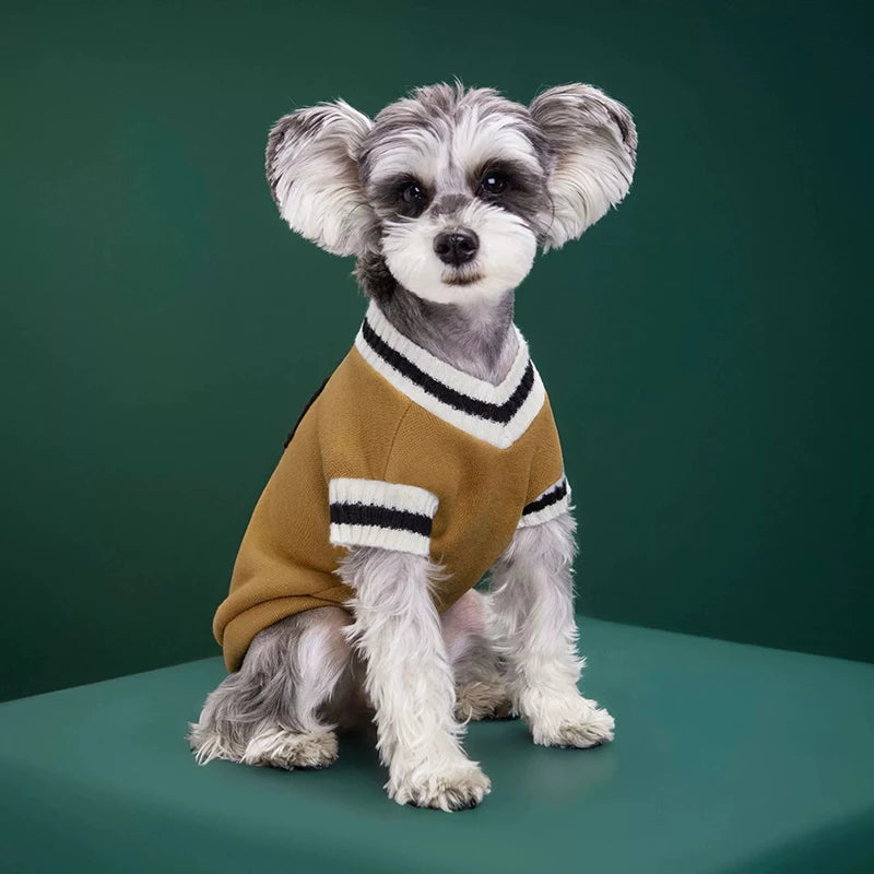 Cozy Knit Pet Sweater