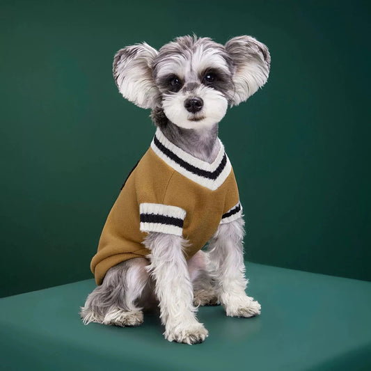 Cozy Knit Pet Sweater